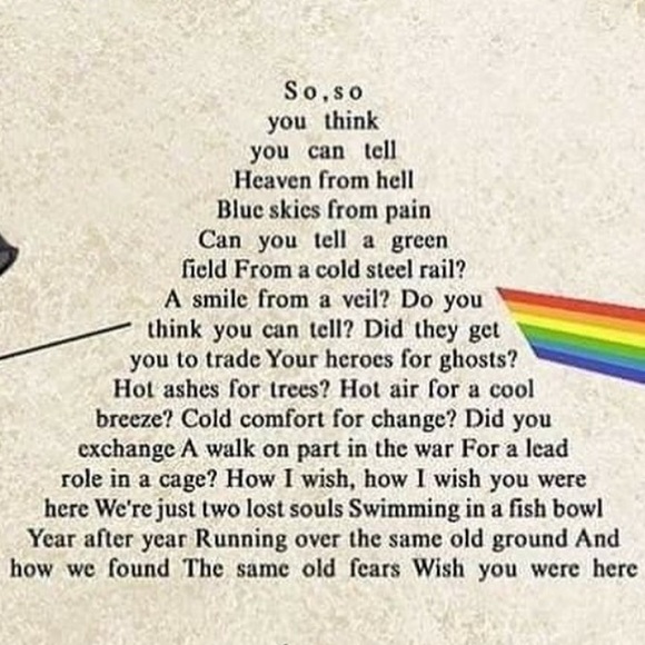 Meet your Posher, Skylar - Picture 1 of 1